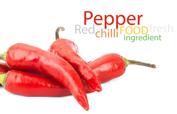 Red chilli pepper — Stock Photo, Image