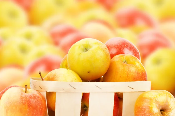 Manzanas frescas y coloridas — Foto de Stock