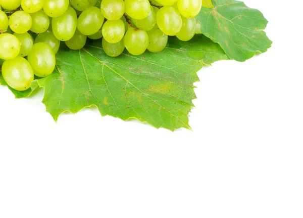 Białe winogrona na białym tle — Zdjęcie stockowe
