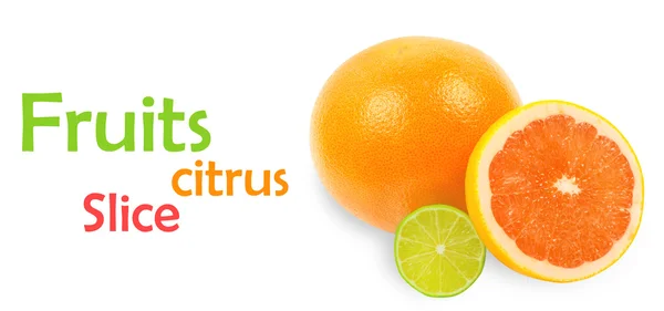 Citrus fruits — Stock Photo, Image