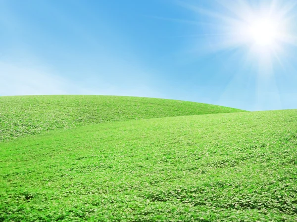 Prachtig zomers landschap — Stockfoto