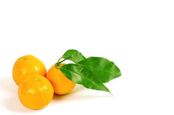 Mandarinky s zelenými listy izolované na bílém — Stock fotografie