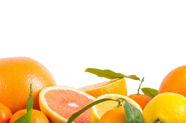 Fruit citrus — Stockfoto