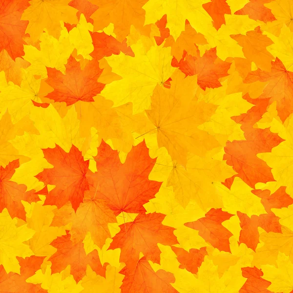Höstens bakgrund. — Stockfoto