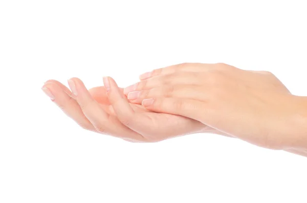 Beautiful female hands with french manicure — Stock Photo, Image