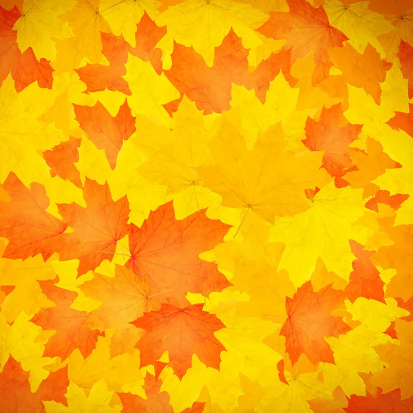 Höstens bakgrund. — Stockfoto