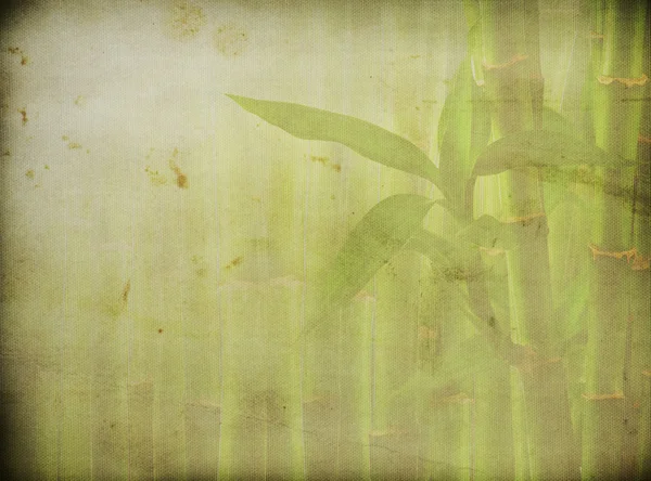 Grunge bambu bakgrund — Stockfoto