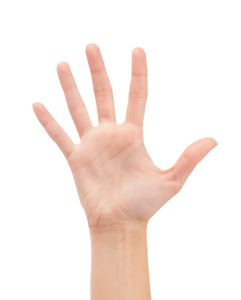 Vrouw hand of nummer vijf opent — Stockfoto