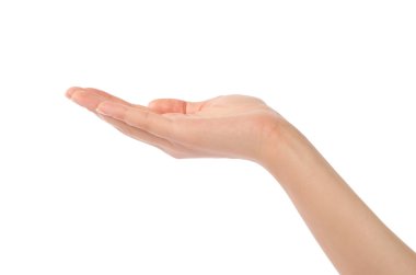 güzel kadın eli, palm kadar yakın çekim.