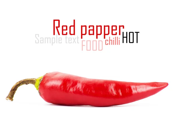 Red hot chilli pepper on white — Stock Photo, Image