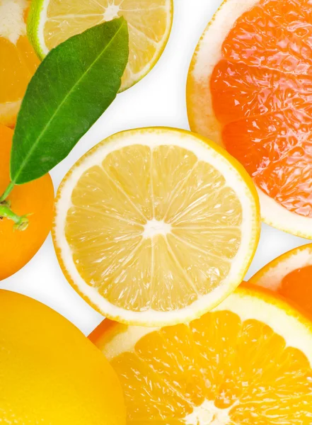 Mix van citrus segment — Stockfoto