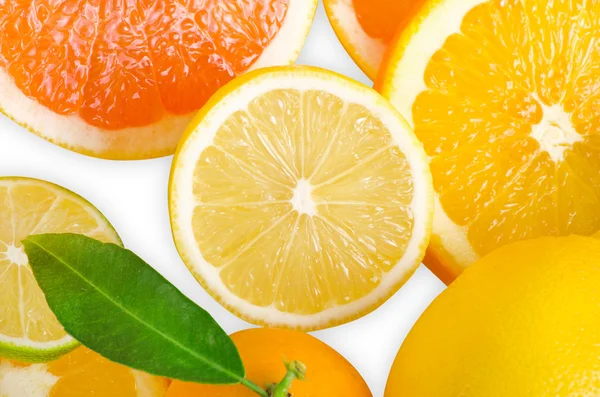 Mix of citrus slice — Stock Photo, Image