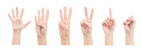 Подсчет женских рук (от 1 до 4) на белом фоне — стоковое фото