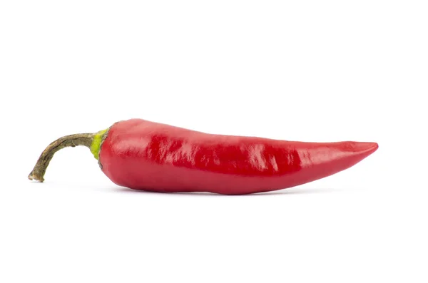 Red hot chili pepper isolated — Stock Photo, Image