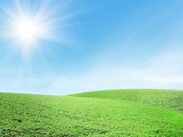 Prachtig zomers landschap — Stockfoto