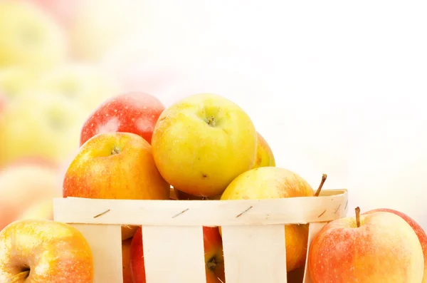 Frische und bunte Äpfel — Stockfoto