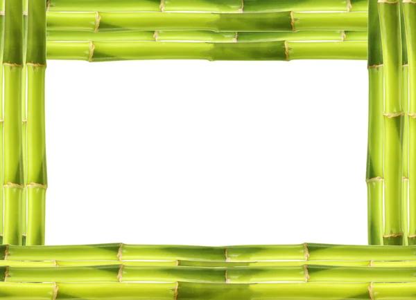 Bamboo frame made of stems — Stock Photo, Image