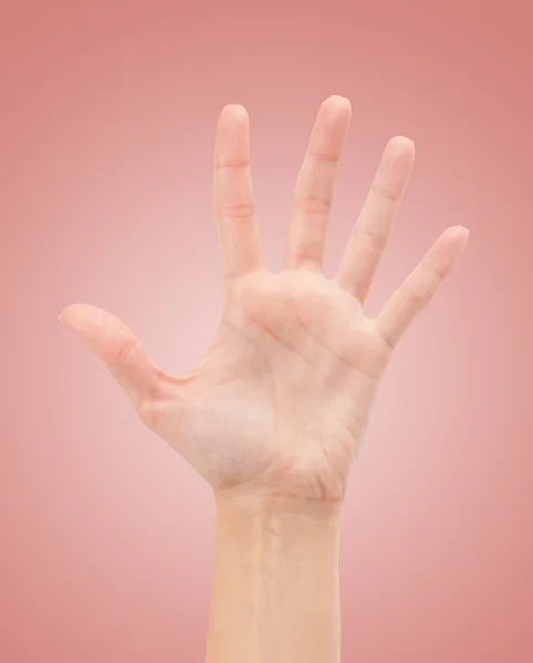 Рука открытой женщины или номер пять — стоковое фото