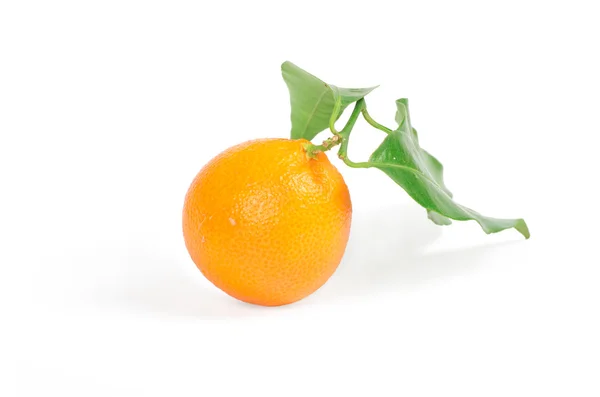 Mandarine mit grünen Blättern isoliert auf weiß — Stockfoto
