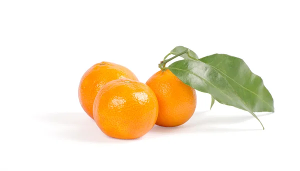 Tangeriner med gröna blad isolerad på vit — Stockfoto