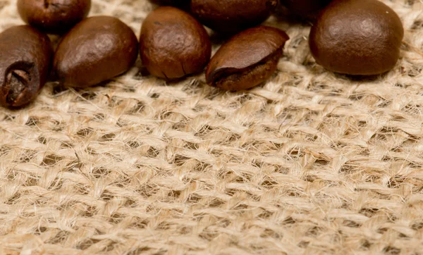 Coffee beans on sack(burlap) — Stock Photo, Image