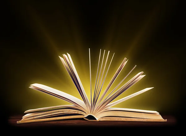 Kitap. özel ışık ile açık bir kitap. Eğitim — Stok fotoğraf