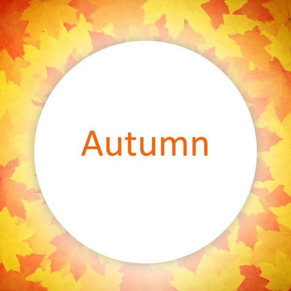 Autumn background. — Stock Photo, Image