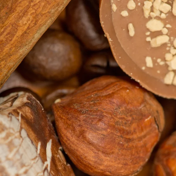 Koffiebonen, kaneel en noten — Stockfoto