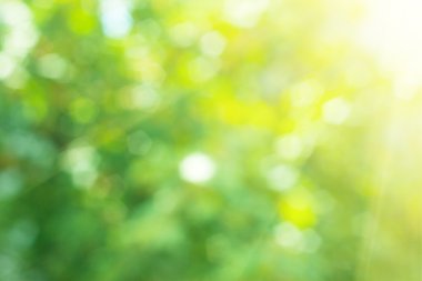 Bokeh geçmişi. Tasarım elementi.