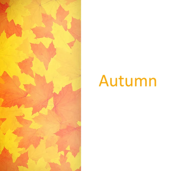 Осенний фон . — стоковое фото