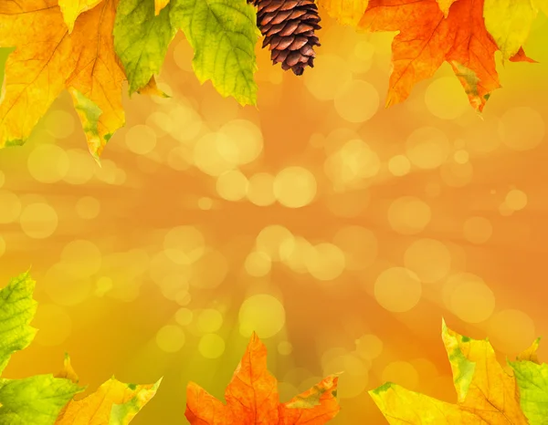 Autumn colored falling leafs — Stock Photo, Image