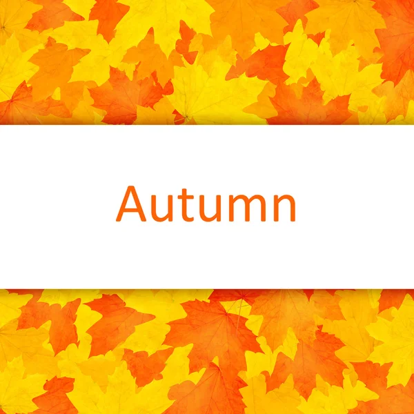 Autumn background. — Stock Photo, Image