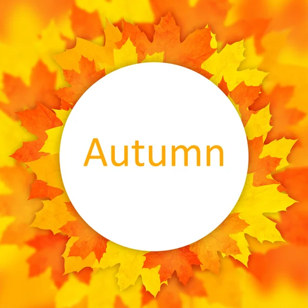 Hintergrund Herbst. — Stockfoto