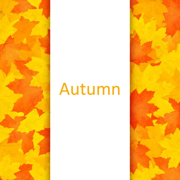Jesieni w tle. — Zdjęcie stockowe