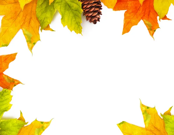 Herfst gekleurde vallende bladeren geïsoleerd op witte achtergrond — Stockfoto