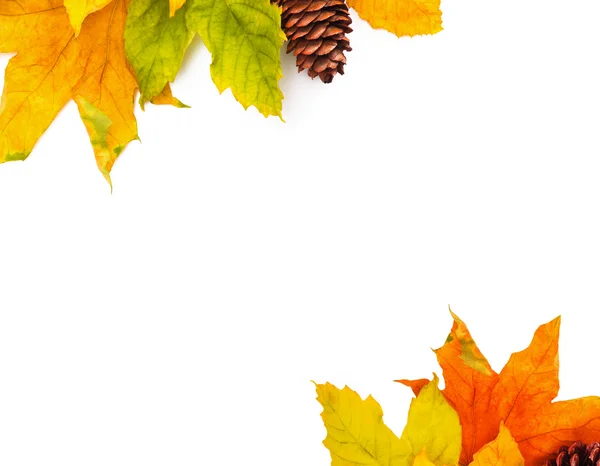 Autumn colored falling leafs isolated on white background — Stock Photo, Image