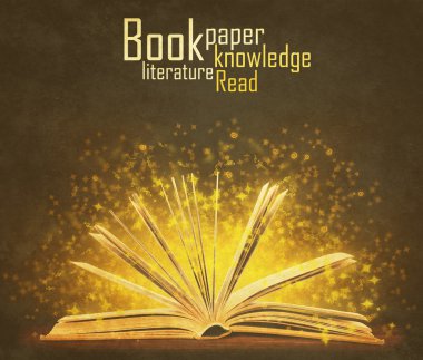 kitap. özel ışık ile açık bir kitap. Eğitim