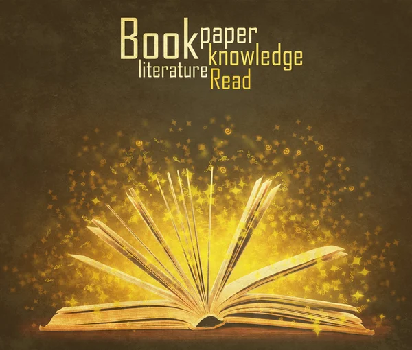Libro. Libro abierto con luz especial. Educación —  Fotos de Stock