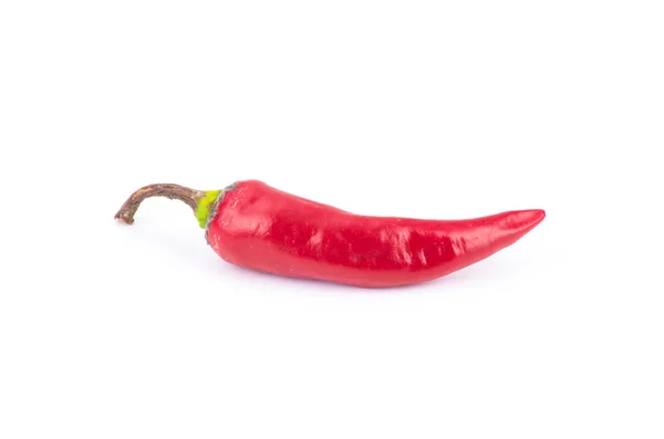 Red hot chili pepper isolated on a white background — Stock Photo, Image