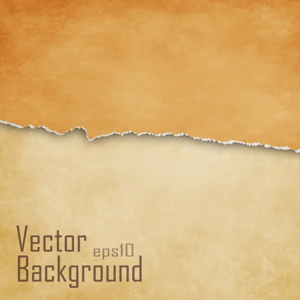 Torn paper background with space for text - vector — Stock Vector