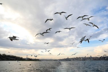 Haliç boyunca tekne gezisi, İstanbul, Türkiye, Aralık 2021.