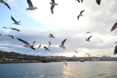 Haliç boyunca tekne gezisi, İstanbul, Türkiye, Aralık 2021.