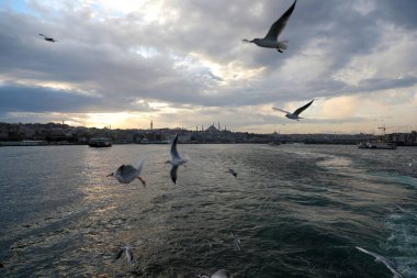 Haliç boyunca tekne gezisi, İstanbul, Türkiye, Aralık 2021.
