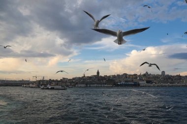 Haliç boyunca tekne gezisi, İstanbul, Türkiye, Aralık 2021.