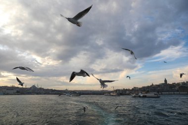 Haliç boyunca tekne gezisi, İstanbul, Türkiye, Aralık 2021.