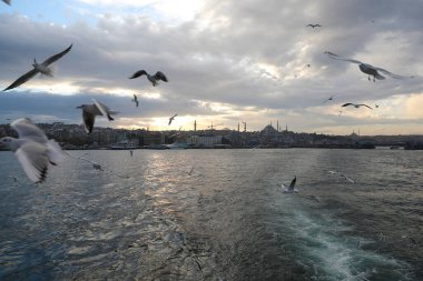 Haliç boyunca tekne gezisi, İstanbul, Türkiye, Aralık 2021.