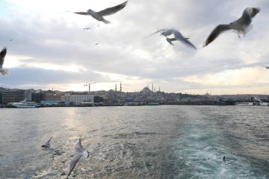 Haliç boyunca tekne gezisi, İstanbul, Türkiye, Aralık 2021.