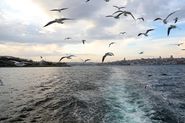 Excursion Bateau Long Corne Istanbul Turquie Décembre 2021 — Photo