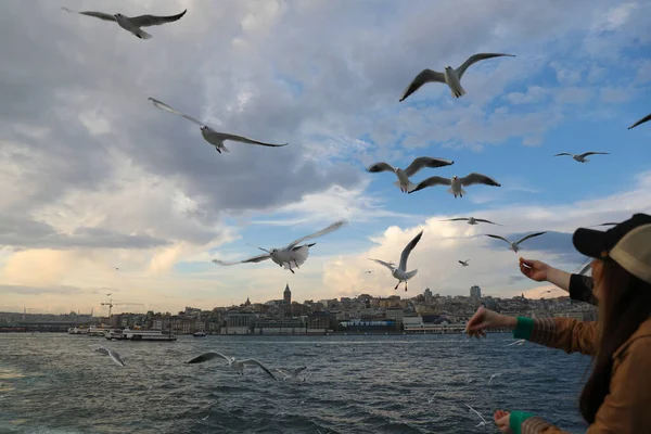 Haliç Boyunca Tekne Gezisi Stanbul Türkiye Aralık 2021 — Stok fotoğraf