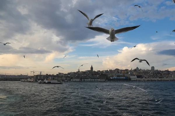 Viagem Barco Longo Chifre Ouro Istambul Turquia Dezembro 2021 — Fotografia de Stock